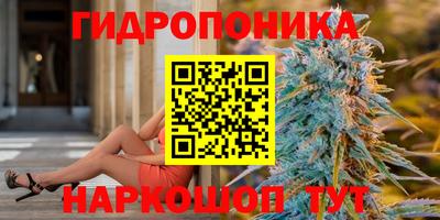 дурь Новодвинск