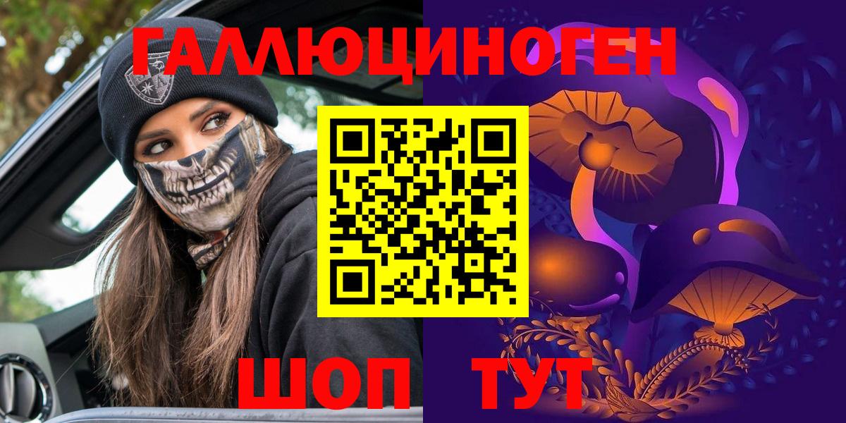 Галлюциногенные грибы Cubensis  Вход с VPN  Галлюциногенные грибы прущие грибы  Торжок 